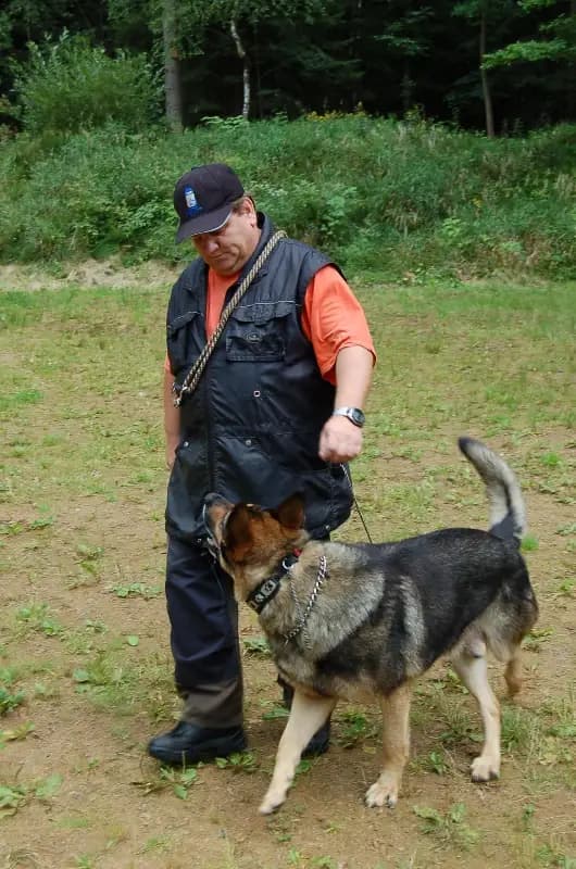 Ukázky Zelenov 2012