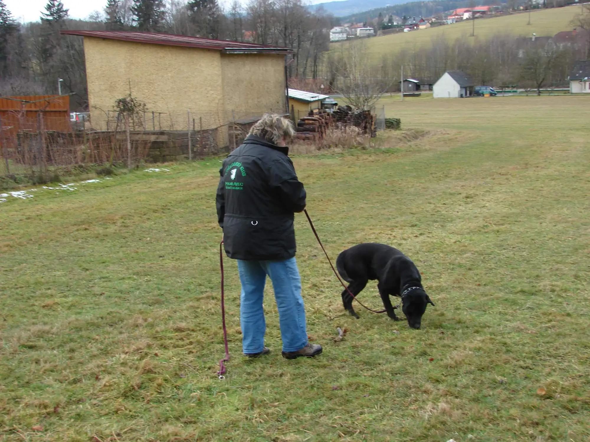 Výcvik leden, únor 2016