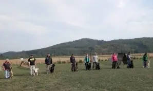 Zkoušky 2015